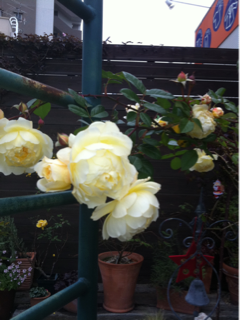image-20130124214739.png